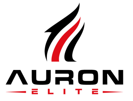 povečan logo homepagee